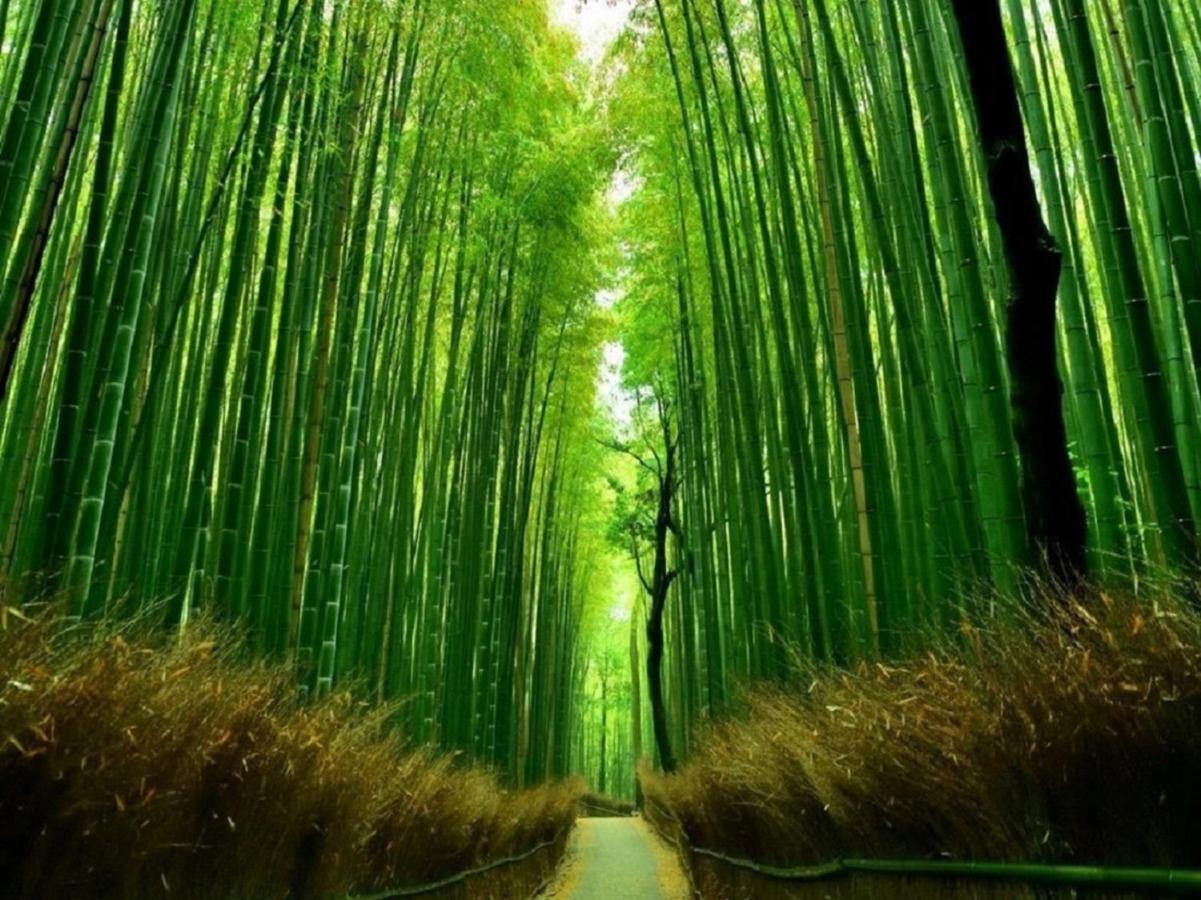 Вилла 町屋 泉東山 Machiya Izumi Higashiyama Giommachi Экстерьер фото